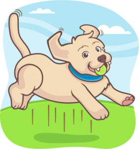 a spring time dog playing ball